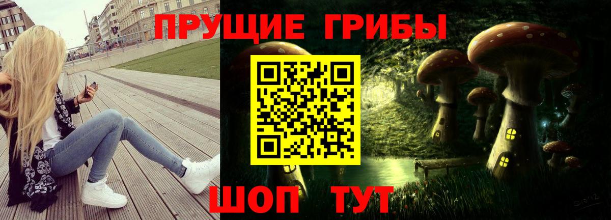 Псилоцибиновые грибы Cubensis Тутаев