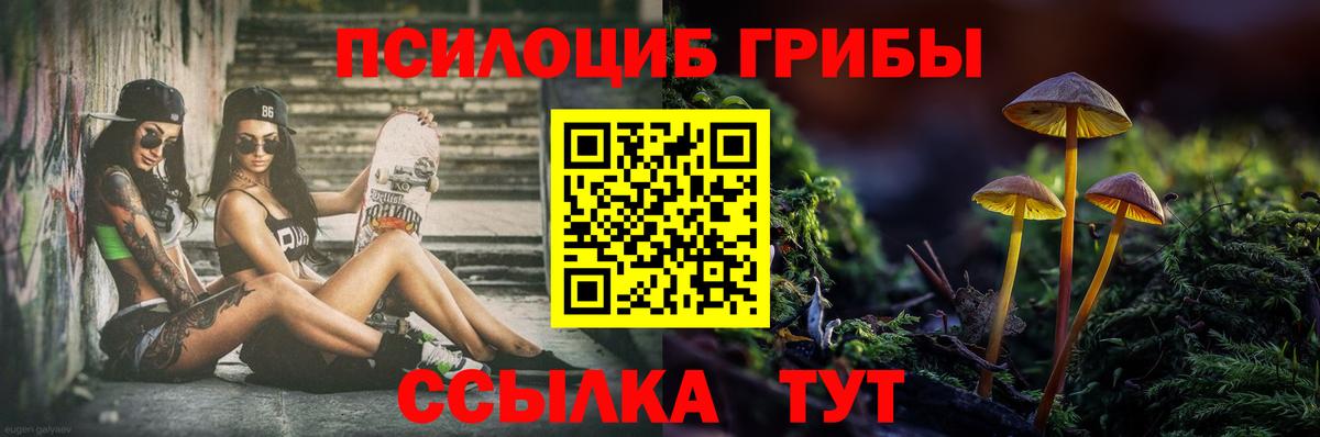 Тутаев  Псилоцибиновые грибы Psilocybe  Вход с VPN  Галлюциногенные грибы мухоморы 